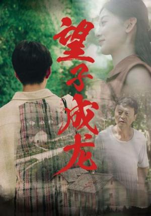 豪门的后裔（65集）田园（夸克网盘）封面图 - 都市短剧