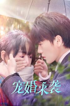 宠婚来袭 《宠婚来袭》短剧封面