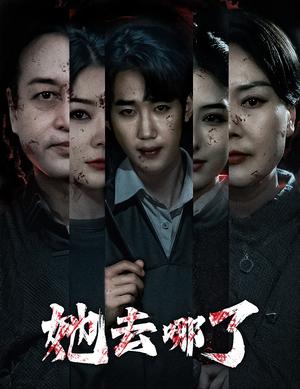 她去哪了（56集）林初（夸克网盘） - 悬疑情感短剧封面