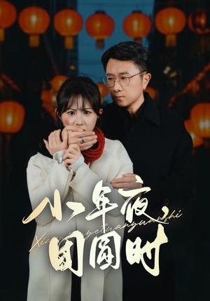 小年夜团圆时&小年夜万家灯火没有我（35集）（夸克网盘）封面图 - 情感短剧