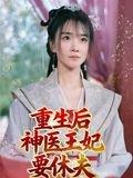 重生后神医王妃要休夫封面