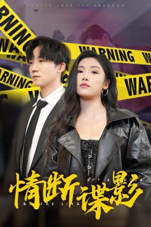 情断谍影&我的特工老婆（30集）骆虹宇（夸克网盘）封面图 - 短剧短剧
