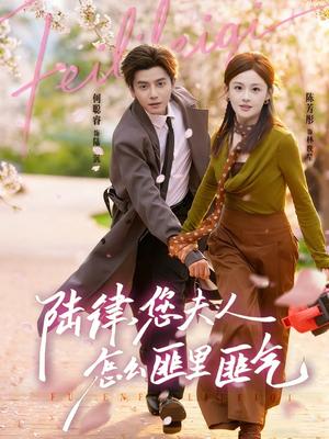 陆律，您夫人怎么匪里匪气（60集）何聪睿＆陈芳彤（夸克网盘）封面图 - 短剧短剧
