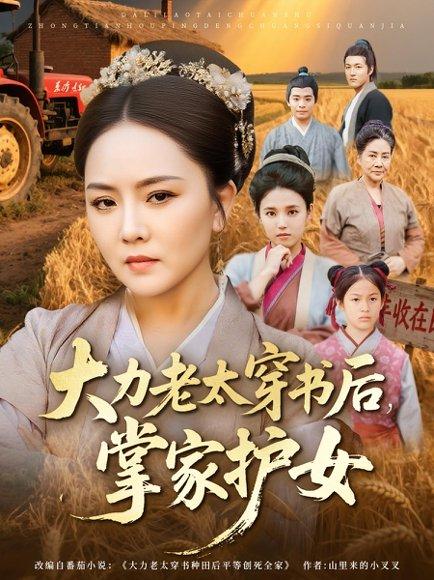 大力老太穿书后，掌家护女（80集）唐艺博&陈洁（百度网盘）封面图 - 穿越家庭短剧
