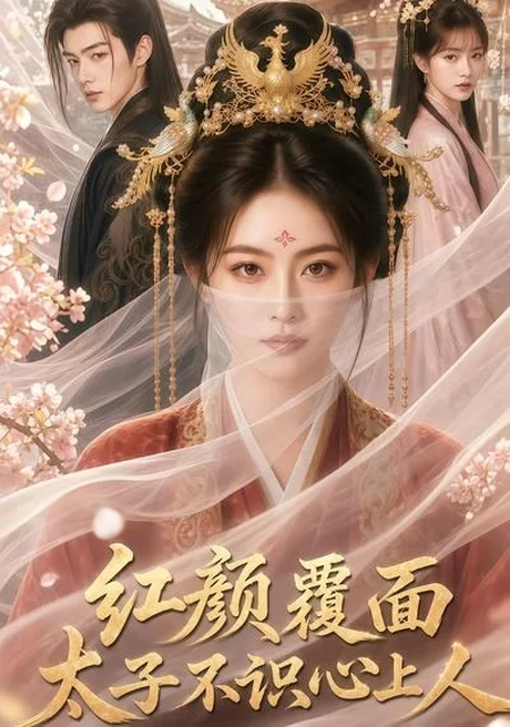 《红颜覆面，太子不识心上人（50集）（百度网盘）》短剧封面