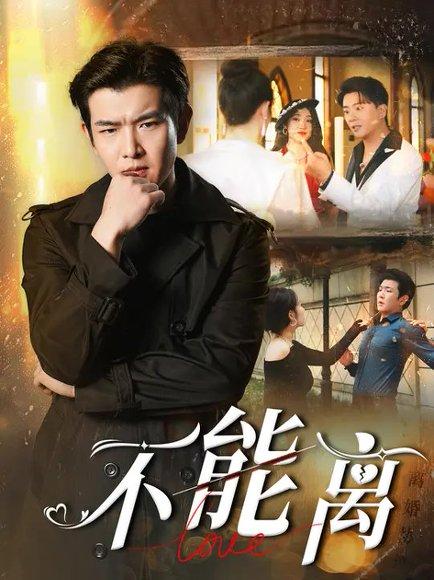 不能离&丈夫的反击（62集）于介平&董雨梦封面图 - 都市情感短剧