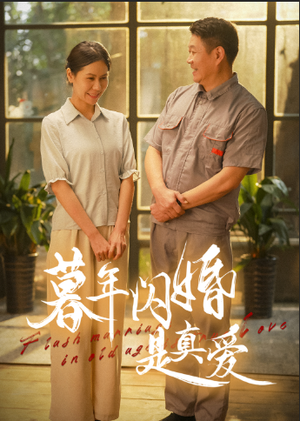 《暮年闪婚是真爱（36集）（夸克网盘）》短剧封面