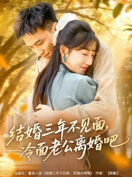 结婚三年不见面，冷面老公离婚吧（67集）刘乂宇＆孙丛珊封面图 - 爱情短剧