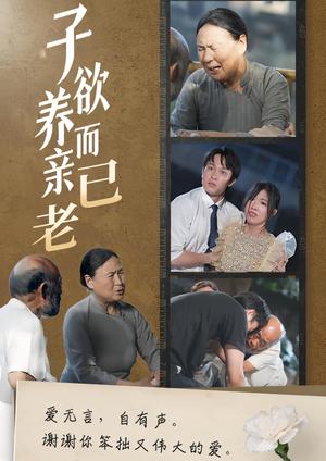 子欲养而亲已老（58集）（夸克网盘）封面图 - 家庭短剧