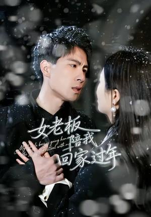 女老板陪我回家过年（40集）罗珊珊＆贺翔（夸克网盘）封面图 - 短剧短剧
