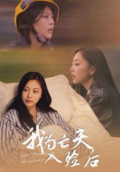 我为亡夫入殓后（45集）韩储鸽&王行宇（百度网盘）封面图 - 悬疑爱情短剧
