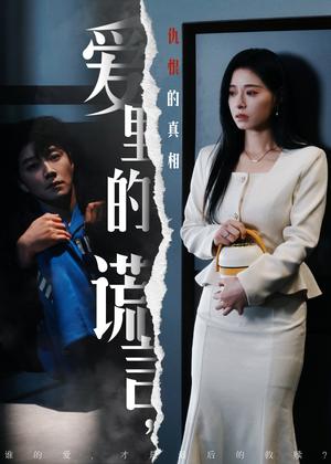 爱里的谎言，仇恨的真相（47集)宋晨＆韩琪（夸克网盘）封面图 - 悬疑短剧