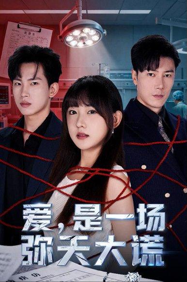 爱是一场弥天大谎封面图 - 都市短剧