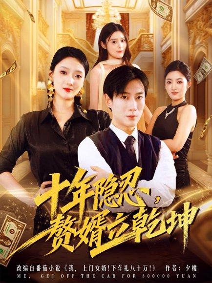十年隐忍赘婿立乾坤封面图 - 逆袭短剧