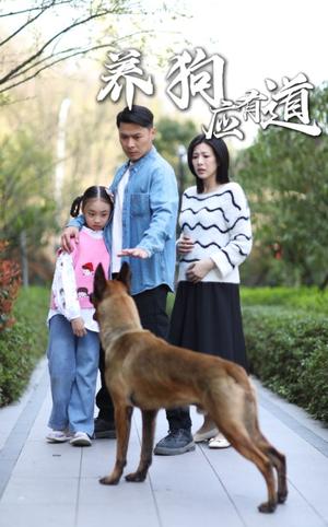 养狗应有道（60集）（夸克网盘）封面图 - 短剧短剧