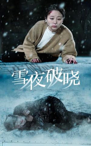 雪夜破晓（36集）（夸克网盘） - 悬疑复仇短剧封面