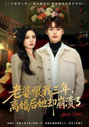 老婆恨我三年，离婚后她却崩溃了（80集）魏森焱&杨韩柠（夸克网盘）封面图 - 都市短剧