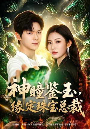 神瞳鉴玉，缘定珠宝总裁（80集）刘瀚阳＆童欣（夸克网盘）封面