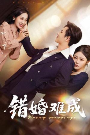 错婚难成（45集）彭程&武鸿蕊（夸克网盘）封面图 - 校园爱情短剧