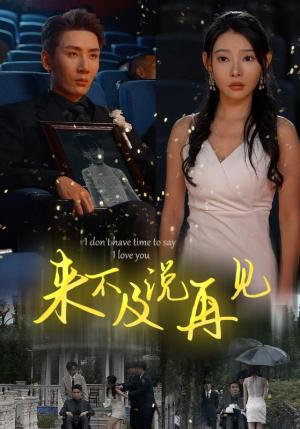 母爱三春晖（94集）（夸克网盘）封面图 - 短剧短剧
