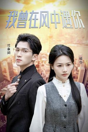 我曾在风中遇你（30集）李木杨＆曹千祎（夸克网盘）封面图 - 短剧短剧
