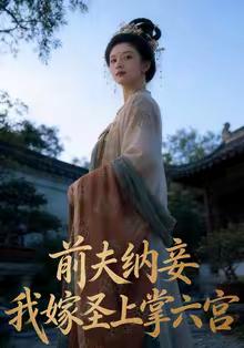 前夫纳妾，我嫁圣上掌六宫（53集）AI短剧（夸克网盘）封面
