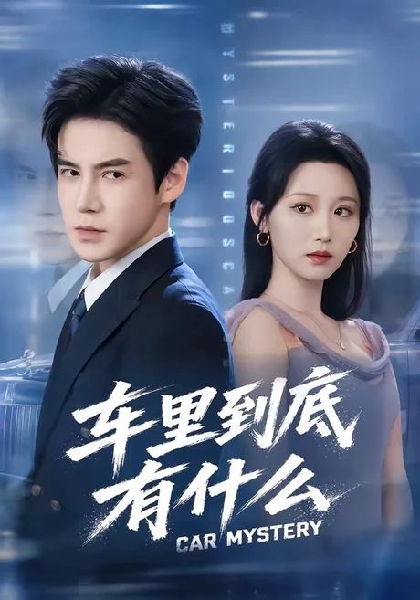 《车里到底有什么(51集)李子锋&林千仟(百度网盘)》短剧封面