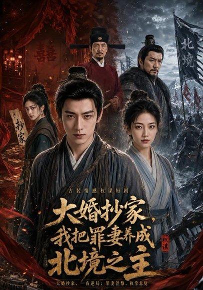 大婚抄家，我把罪妻养成北境之主（115集）（百度网盘）封面