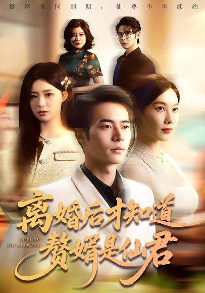 离婚后才知道赘婿是仙君（66集）赵焕东＆李槿（百度网盘）封面图 - 都市玄幻短剧