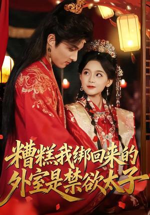 糟糕我绑回来的外室是禁欲太子（90集）邱嘉棋&薛景元（夸克网盘）封面图 - 古装短剧
