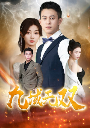 九域无双封面