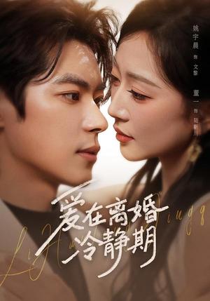 爱在离婚冷静期（73集）董一＆姚宇晨（夸克网盘）封面