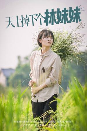 天上掉下个林妹妹（81集）（夸克网盘）封面图 - 短剧短剧