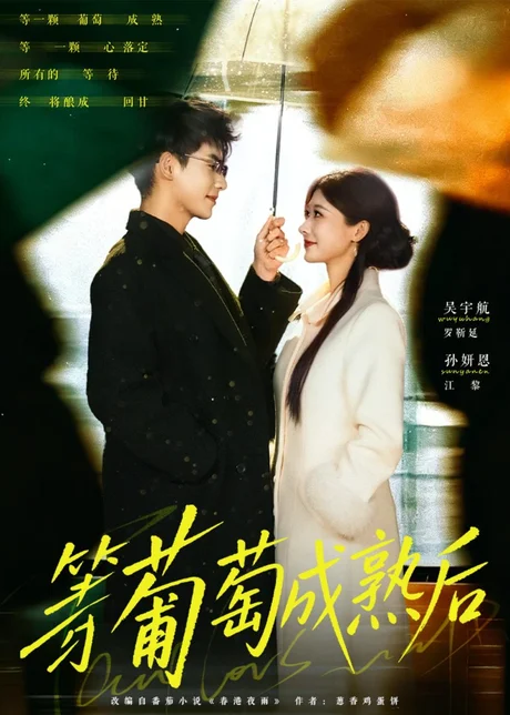 《等葡萄成熟后（82集）吴宇航＆孙妍恩（百度网盘）》短剧封面