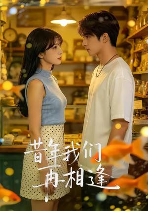昔年我们再相逢（40集）（夸克网盘）封面图 - 短剧短剧