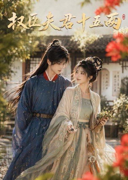 权臣夫君十五两（40集）（百度网盘）封面