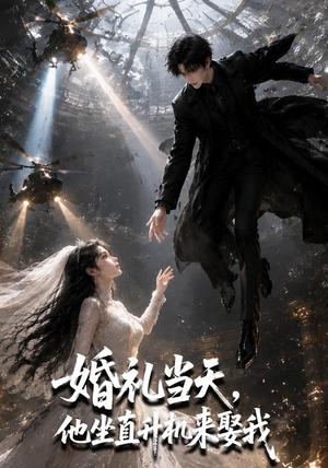 婚礼当天,他坐直升机来娶我(65集)(夸克网盘) 婚礼当天,他坐直升机来娶我(65集)(夸克网盘)封面