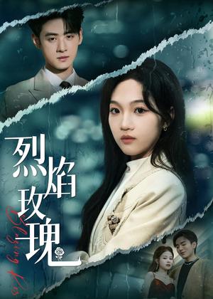 烈焰玫瑰（37集）王珊珊＆武帅康（夸克网盘）封面