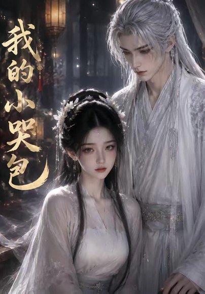 我的小哭包（20集）（百度网盘）封面