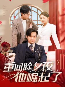 重回除夕夜他崛起了（89集）（夸克网盘）封面图 - 励志短剧