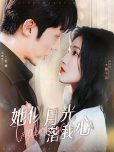 出道五年当天王（87集）（夸克网盘）封面图 - 短剧短剧