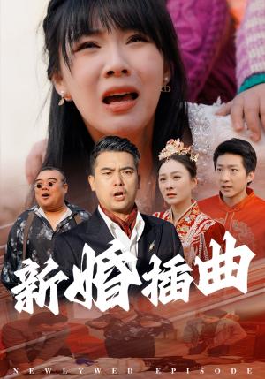 新婚插曲（29集）（夸克网盘）封面图 - 都市短剧