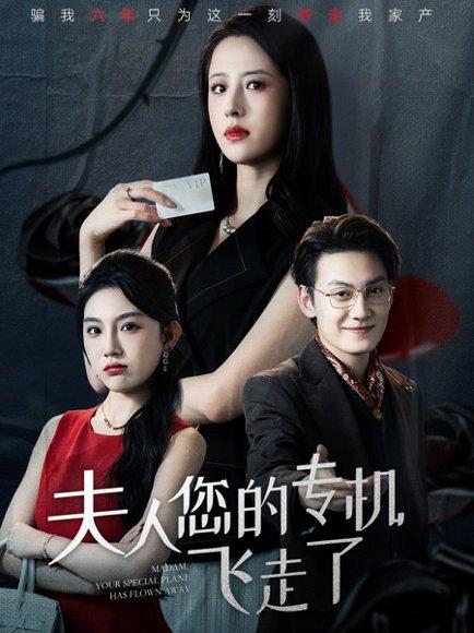 夫人您的专机飞走了（62集）王婧琦&陈泓龙封面图 - 豪门短剧