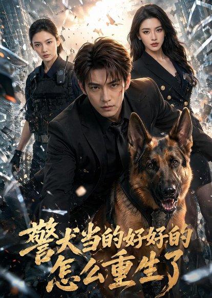 警犬当的好好的，怎么重生了（61集）（百度网盘）封面