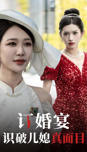 鉴宝传说之无价赘婿（100集）丁磊 侯雨彤（夸克网盘） - 悬疑短剧封面