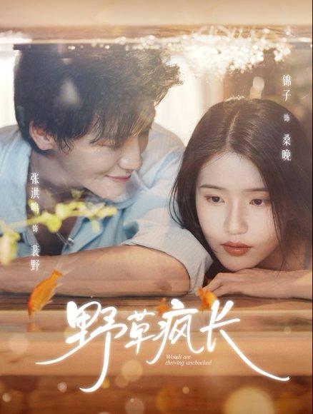 野草疯长（71集）张洪鸣＆锦子封面图 - 励志短剧