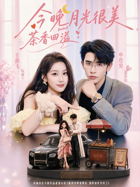 《今晚月光很美，茶香四溢（69集）申浩男＆王燕飞（1080P）（夸克网盘）》短剧封面