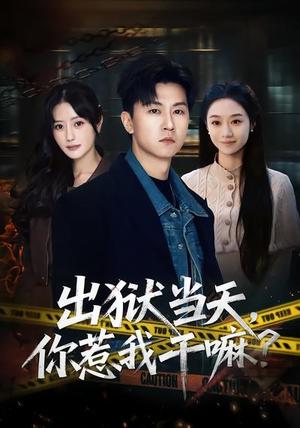 出狱当天，你惹我干嘛？&出狱当天你惹我干嘛（62集）王鹏&郑皓月（夸克网盘）封面图 - 都市短剧