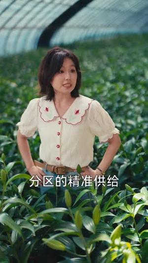 花田喜事 《花田喜事》短剧封面
