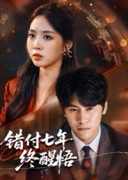 错付七年终醒悟（62集）段少卿&徐徐封面图 - 情感短剧